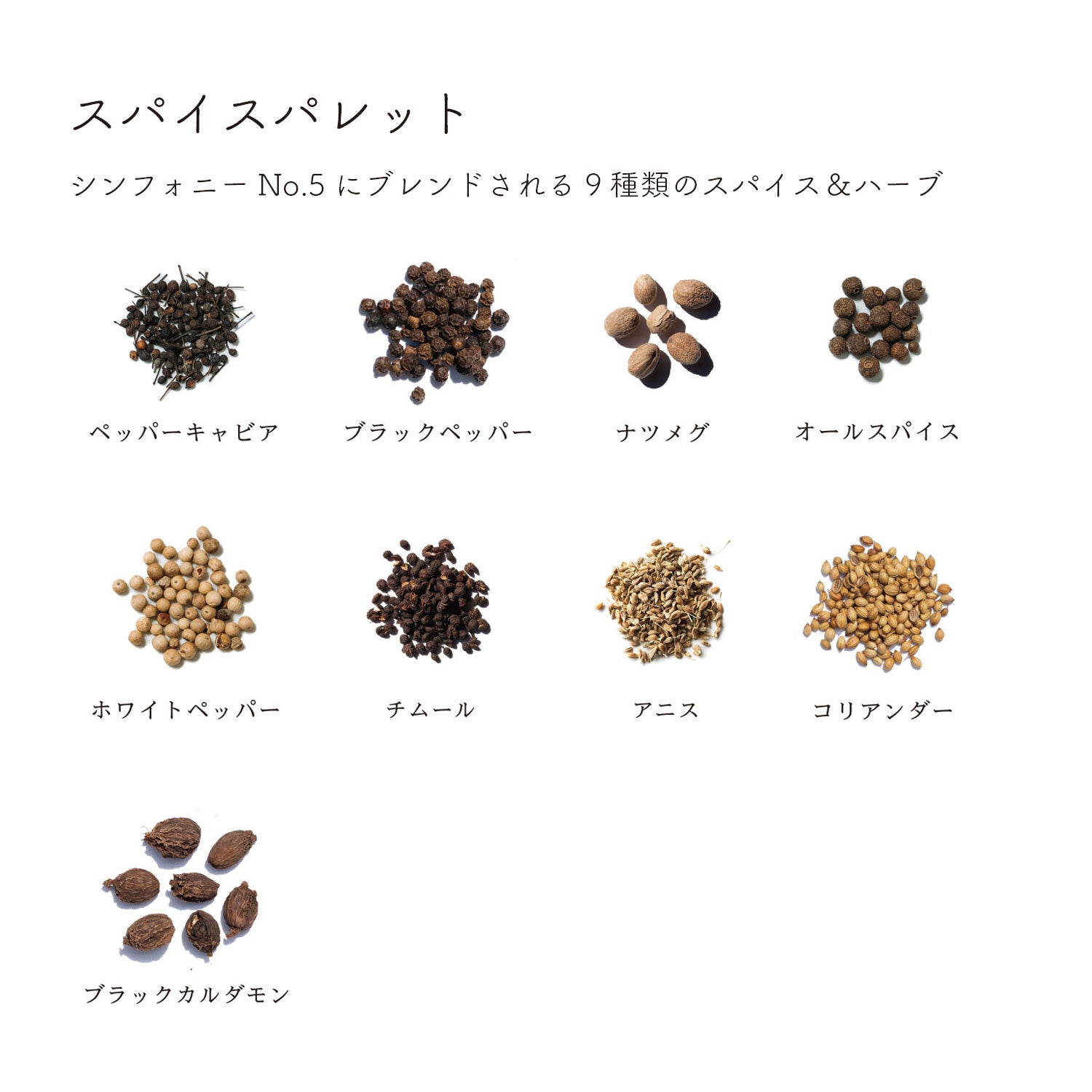 ディッシュ シンフォニーNo. 5