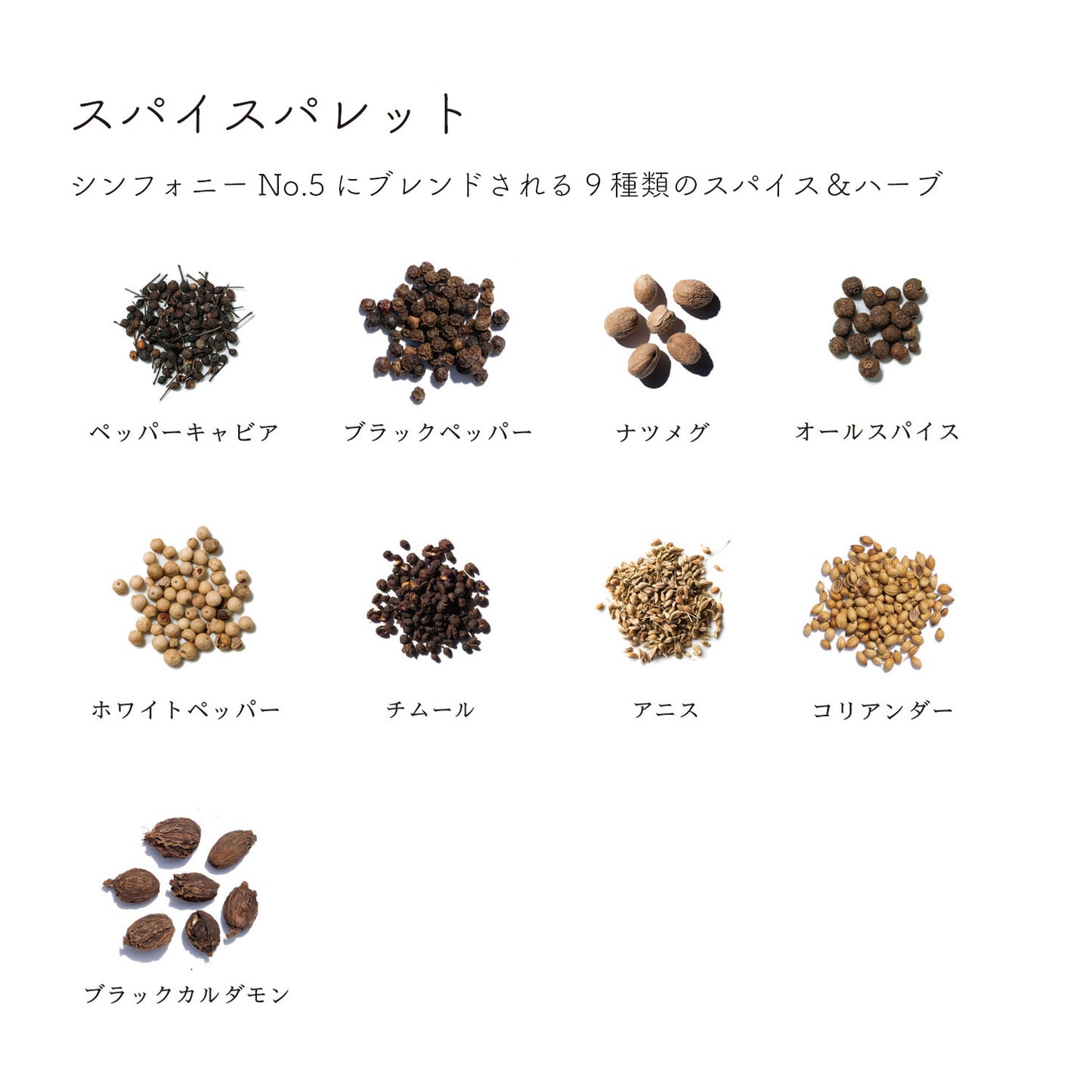 ディッシュ シンフォニーNo. 5